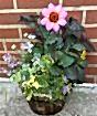 Barrel Planter           