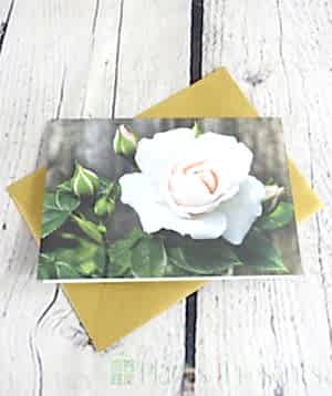 £10 Gift Voucher
