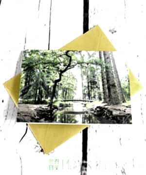 £60 Gift Voucher