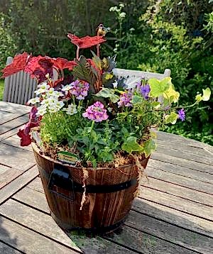 Barrel planter spring 2025