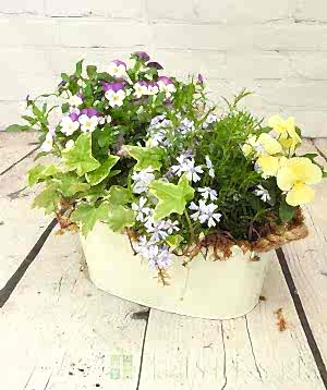 Large Cream Planter April 2025