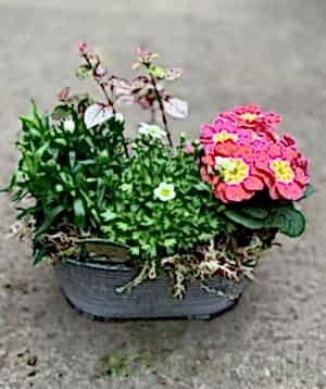 Vintage trough with a pink theme