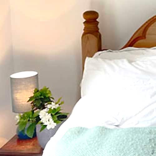 Best plants for bedrooms