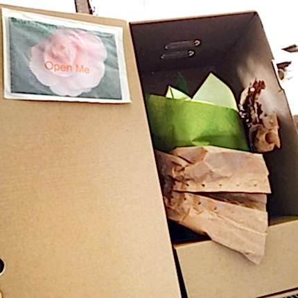 Environmentally Friendly Packaging