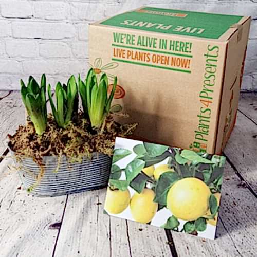 New smaller box