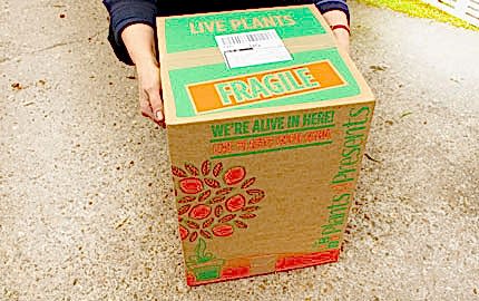 smaller boxes use less raw materials