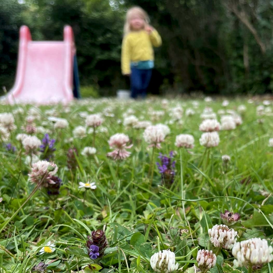 Wildlife gardening