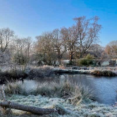 Winter garden